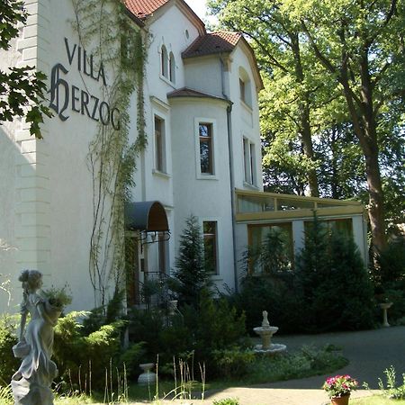 Hotel Villa Herzog Dresden Dış mekan fotoğraf