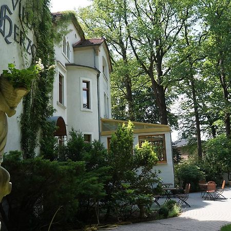 Hotel Villa Herzog Dresden Dış mekan fotoğraf