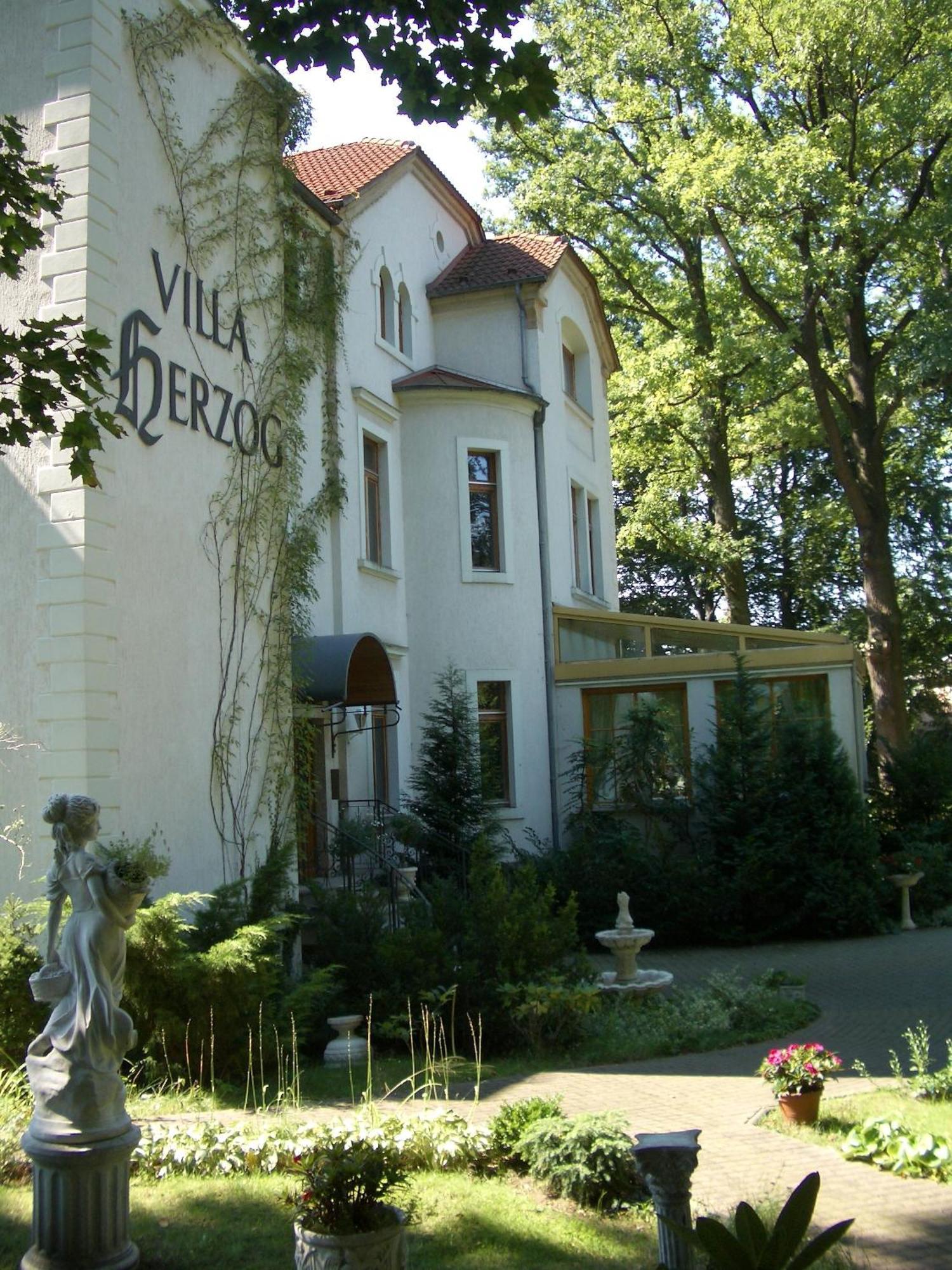 Hotel Villa Herzog Dresden Dış mekan fotoğraf