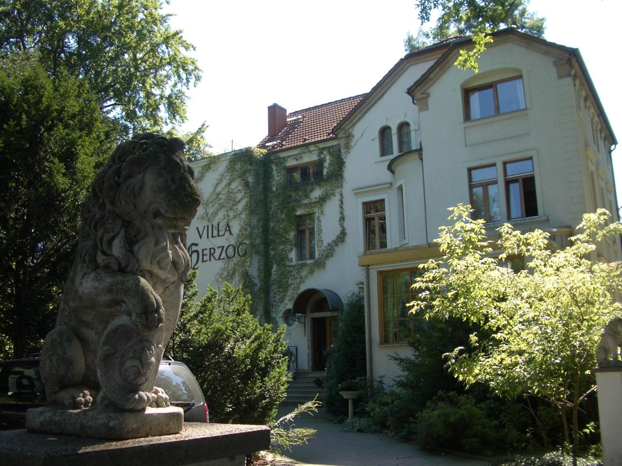 Hotel Villa Herzog Dresden Dış mekan fotoğraf